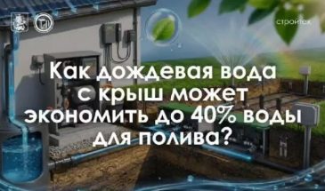Собираем дождик: как экономить на поливе газонов