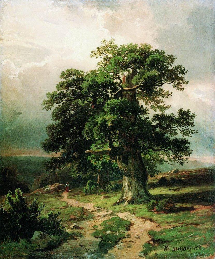 Иван Иванович Шишкин (1832–1898). Пейзаж