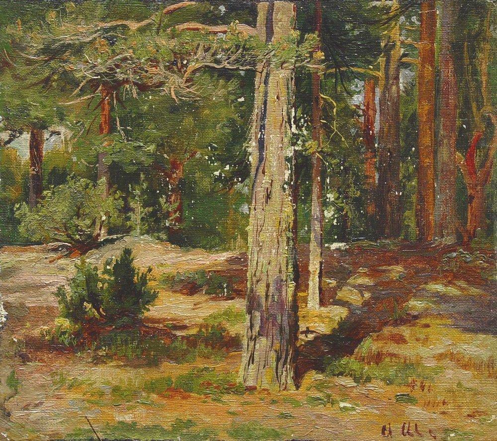 Иван Иванович Шишкин (1832–1898). Пейзаж