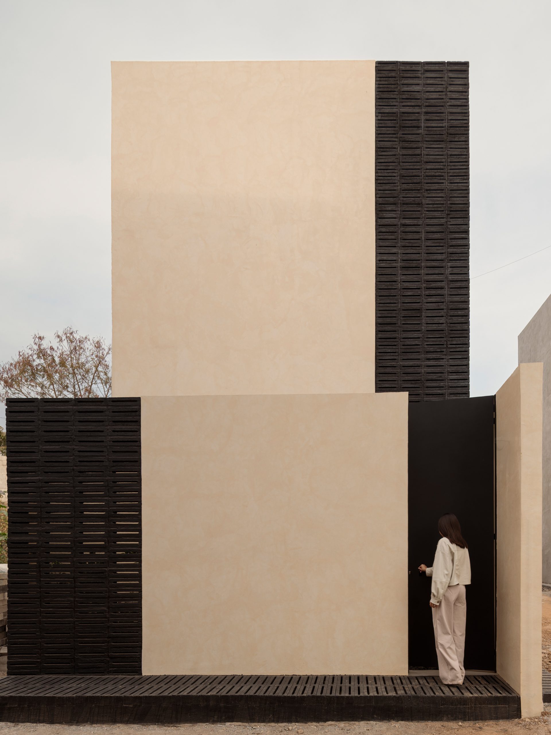 Главный фасад офиса WIDOARQUITECTOS в Куэрнаваке