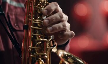 Ищите «Подстанцию 95» на Chess&Jazz в саду «Эрмитаж»