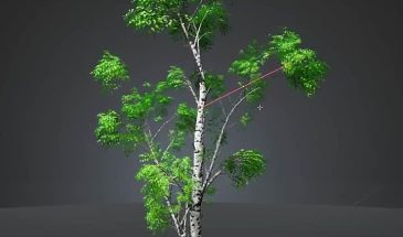 3D-художник Jesse Miettinen показал процедурный генератор березы в Blender, работающий при помощи Geometry Nodes