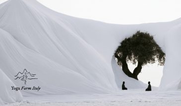 The Oak Moon Pavilion — деревянный павильон для йоги, конкурс Buildner