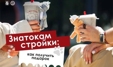 Внимание, стройка и подарки