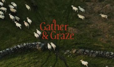 Айдентика молочного бренда Gather & Graze от агентства Biaa