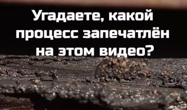 Что тут происходит?