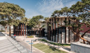 Typsa Arquitectura построила библиотеку в Луанде вокруг вековых деревьев