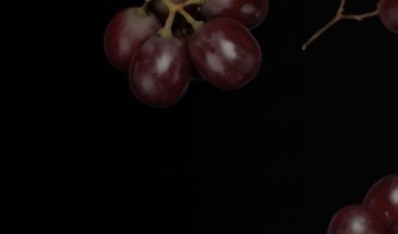 Valli Wine Tasting Room — международный архитектурный конкурс Buildner