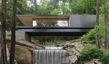 Visualization — Forest house