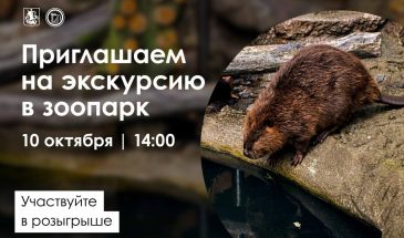 Свидание с Манюней: приглашаем на уникальную экскурсию в Московский зоопарк